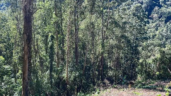 Sítio à venda de 57 ha em Riozinho, RS, Brasil