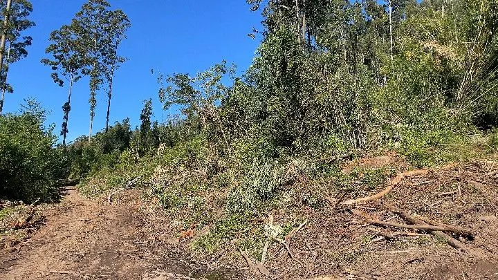 Sítio à venda de 57 ha em Riozinho, RS, Brasil