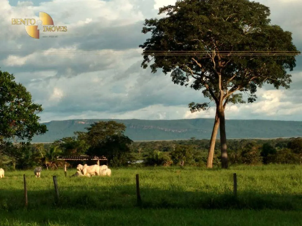 Farm for sale of 7,413 acres in Barra do Bugres, MT, Brazil