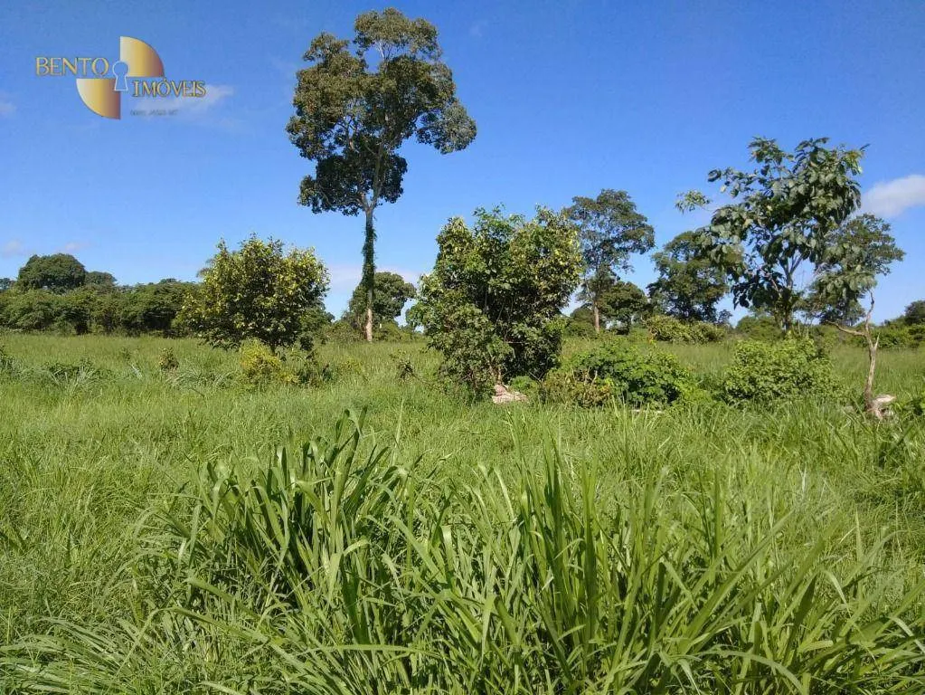 Farm for sale of 7,413 acres in Barra do Bugres, MT, Brazil