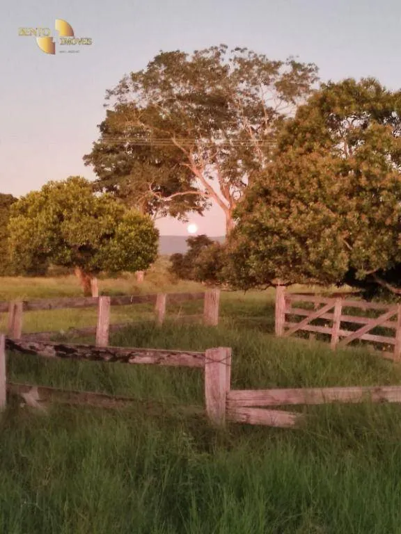 Farm for sale of 7,413 acres in Barra do Bugres, MT, Brazil