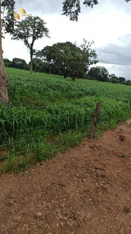 Farm for sale of 7,413 acres in Barra do Bugres, MT, Brazil