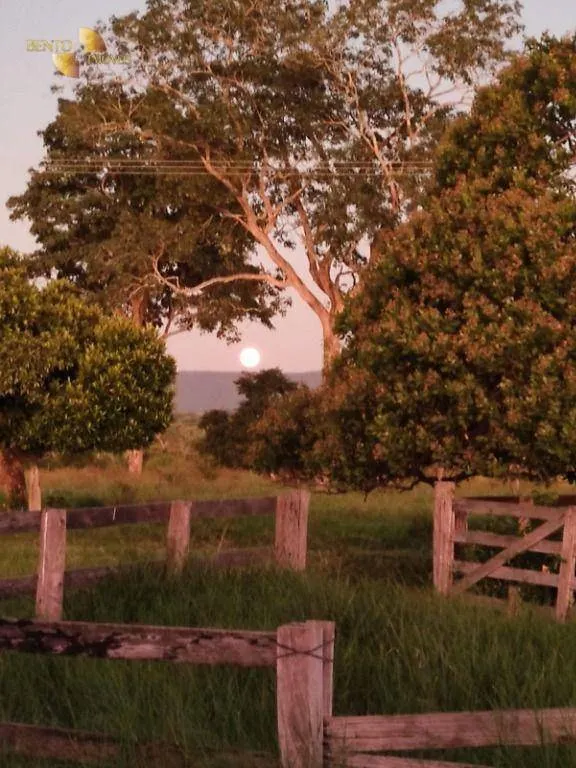Farm for sale of 7,413 acres in Barra do Bugres, MT, Brazil