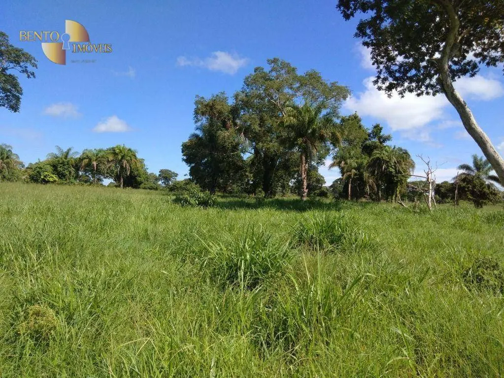 Farm for sale of 7,413 acres in Barra do Bugres, MT, Brazil