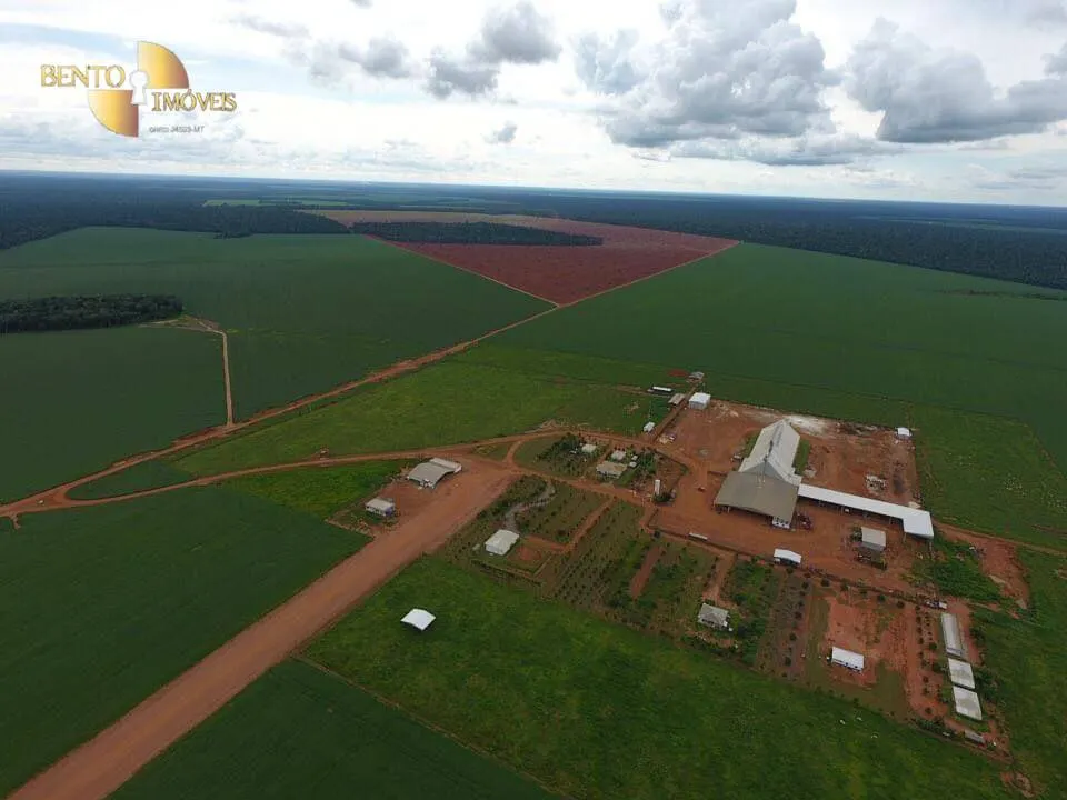 Fazenda à venda e para Arrendar de 5.200 ha em Brasnorte, MT, Brasil
