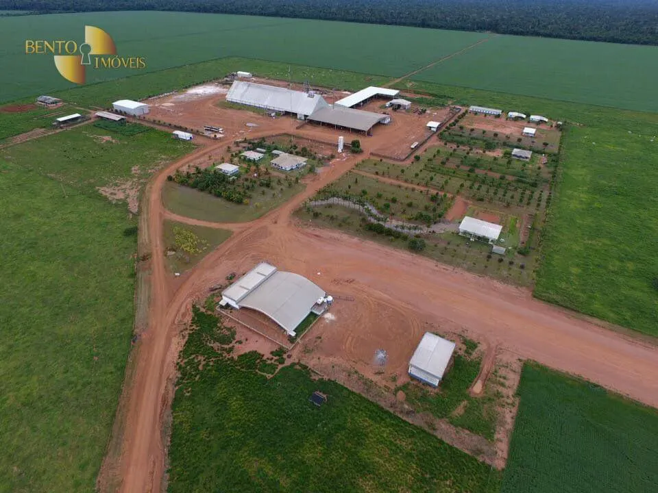 Fazenda à venda e para Arrendar de 5.200 ha em Brasnorte, MT, Brasil