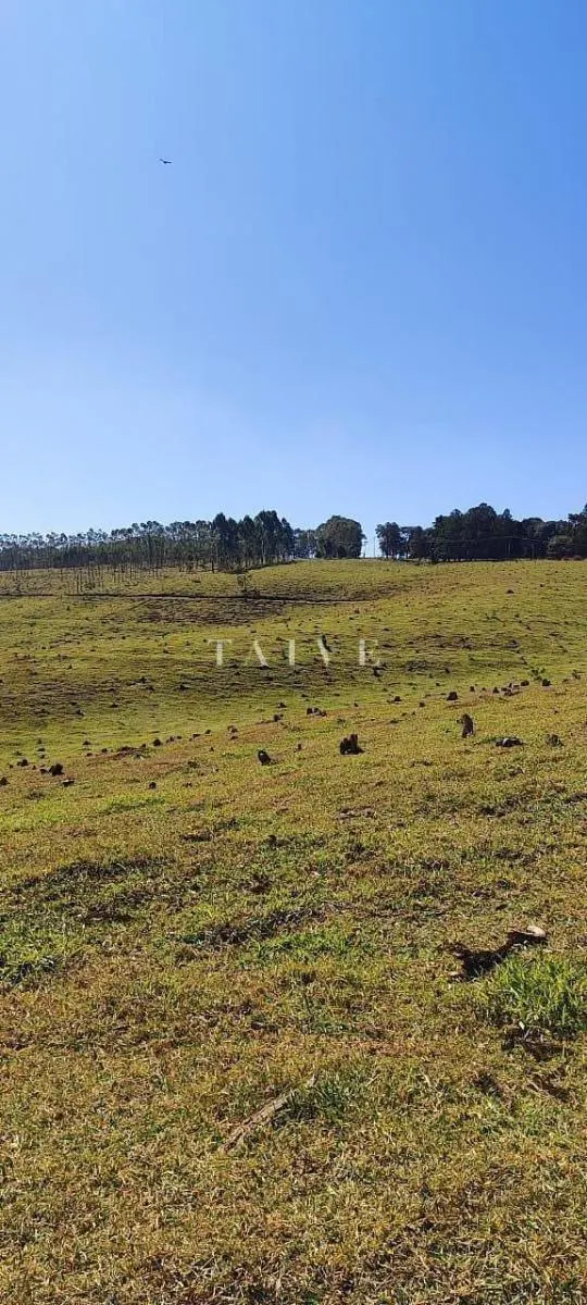 Fazenda à venda de 289 ha em Pardinho, SP, Brasil