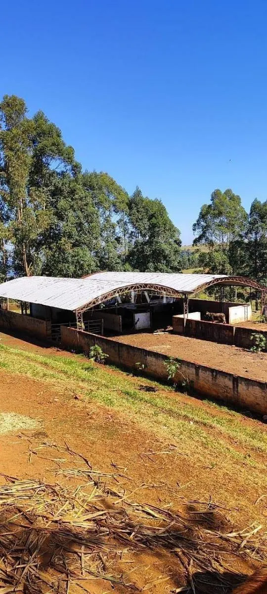 Fazenda à venda de 289 ha em Pardinho, SP, Brasil