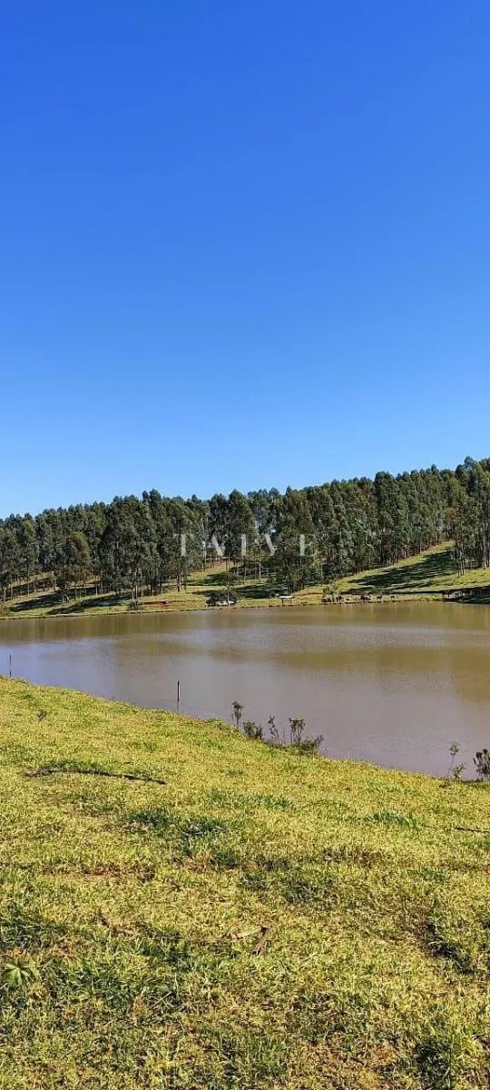 Fazenda à venda de 289 ha em Pardinho, SP, Brasil