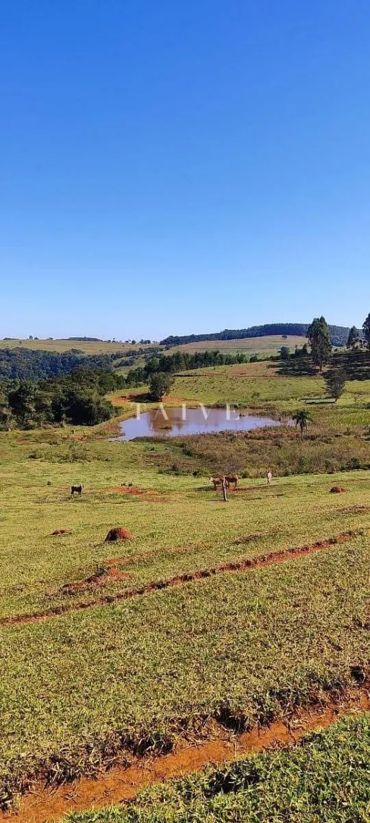 Fazenda à venda de 289 ha em Pardinho, SP, Brasil