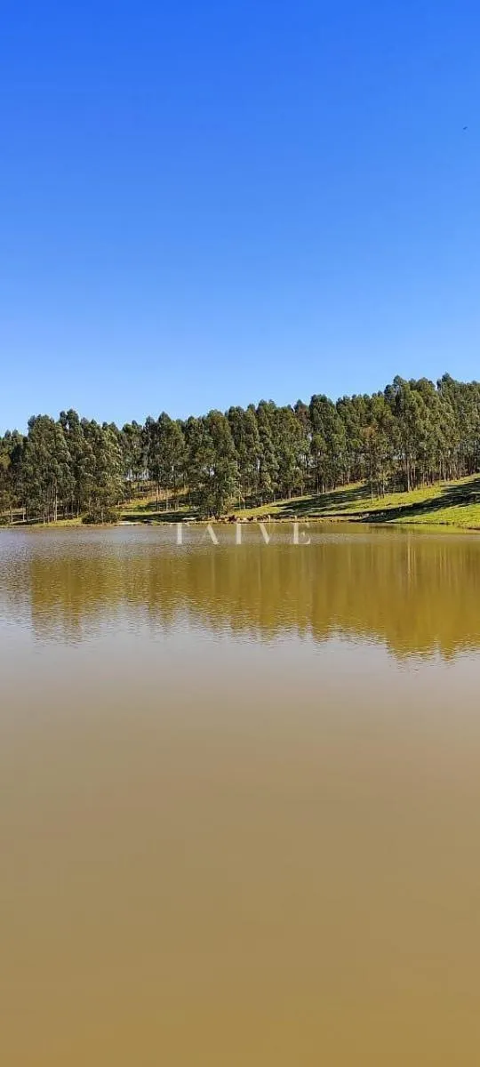 Fazenda à venda de 289 ha em Pardinho, SP, Brasil