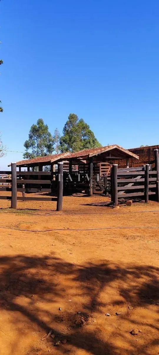 Fazenda à venda de 289 ha em Pardinho, SP, Brasil