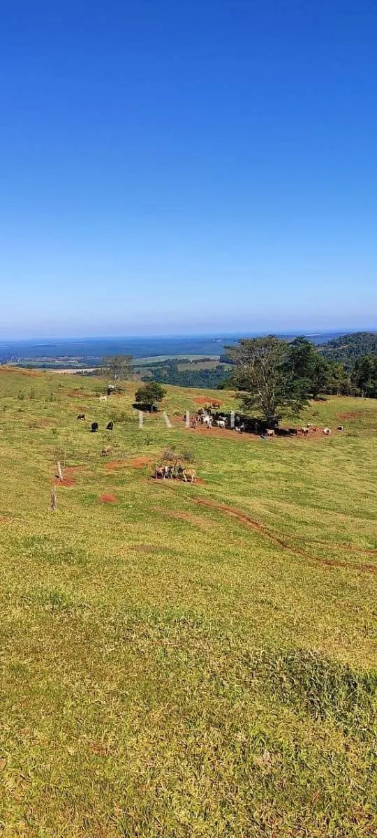 Fazenda à venda de 289 ha em Pardinho, SP, Brasil