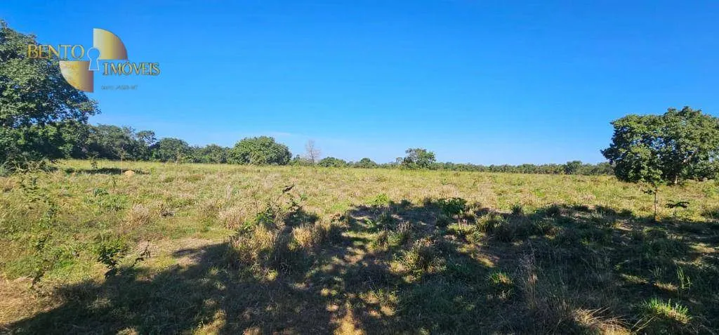 Small farm for sale of 84 acres in Cáceres, MT, Brazil