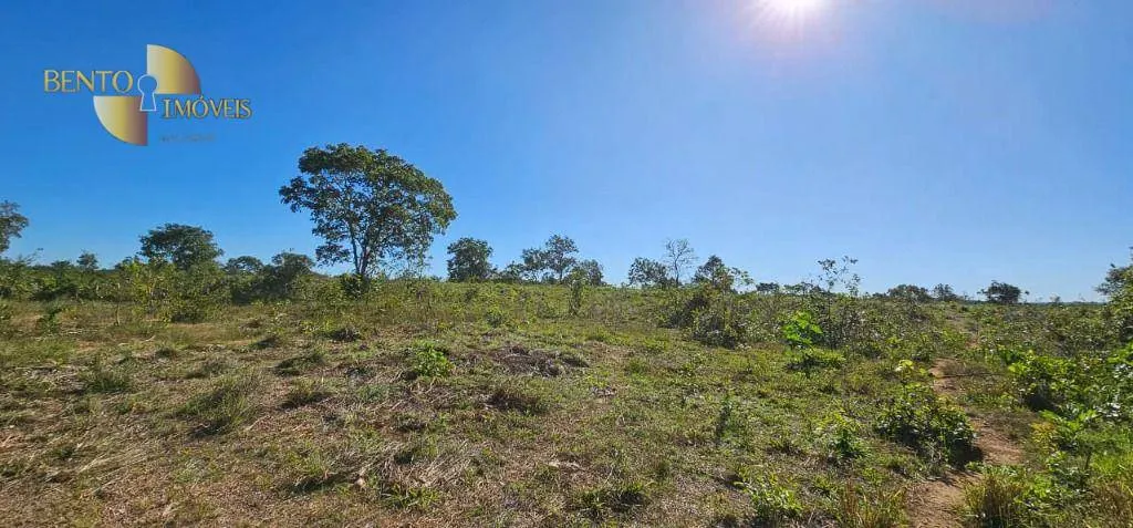 Small farm for sale of 84 acres in Cáceres, MT, Brazil