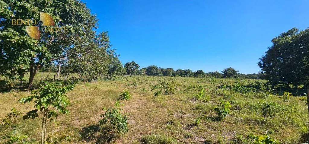 Sítio à venda de 34 ha em Cáceres, MT, Brasil