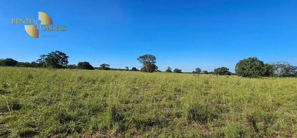 Small farm for sale of 84 acres in Cáceres, MT, Brazil