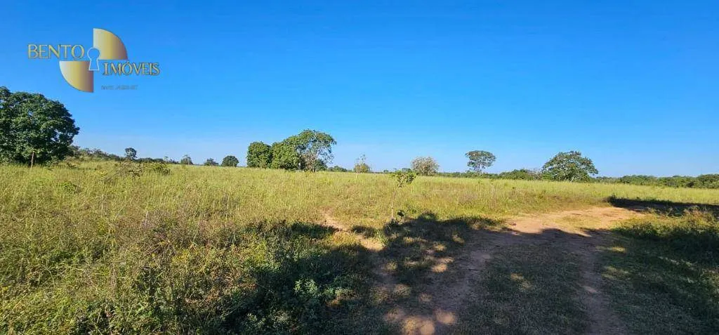 Small farm for sale of 84 acres in Cáceres, MT, Brazil