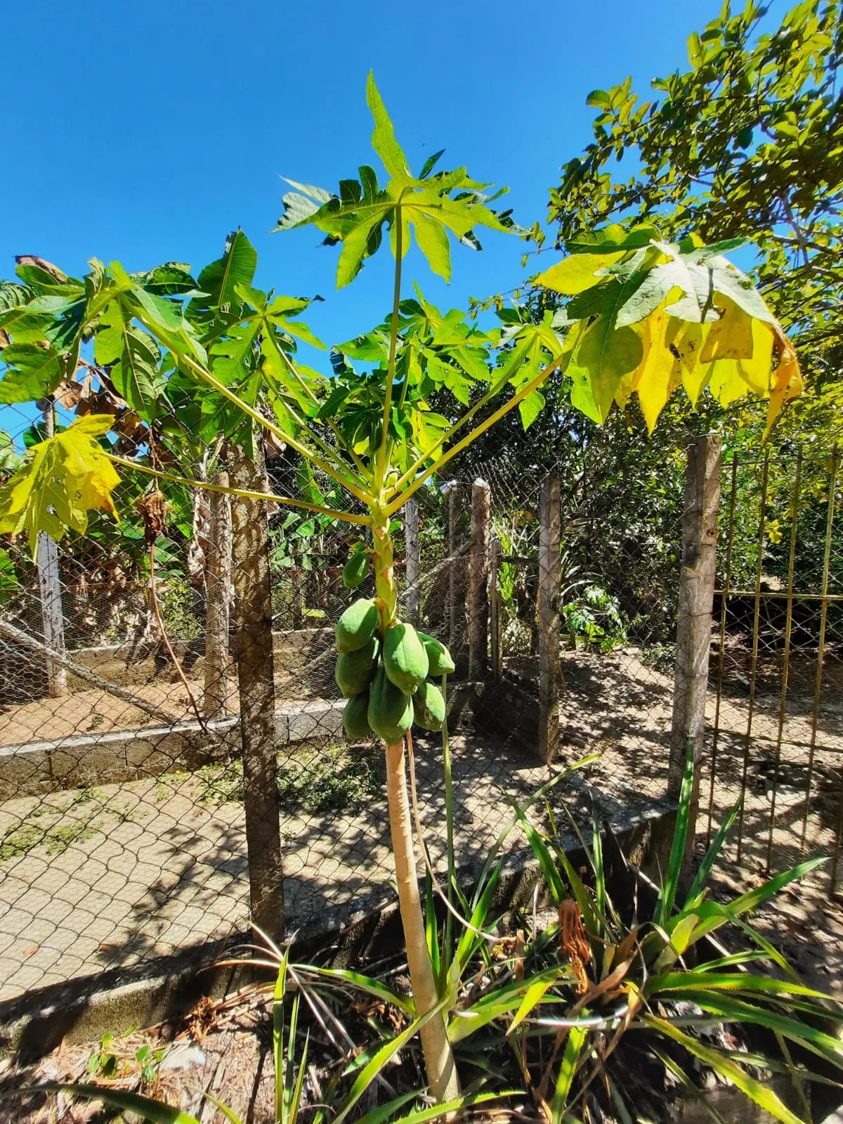 Chácara à venda de 2 ha em Caçapava, SP, Brasil