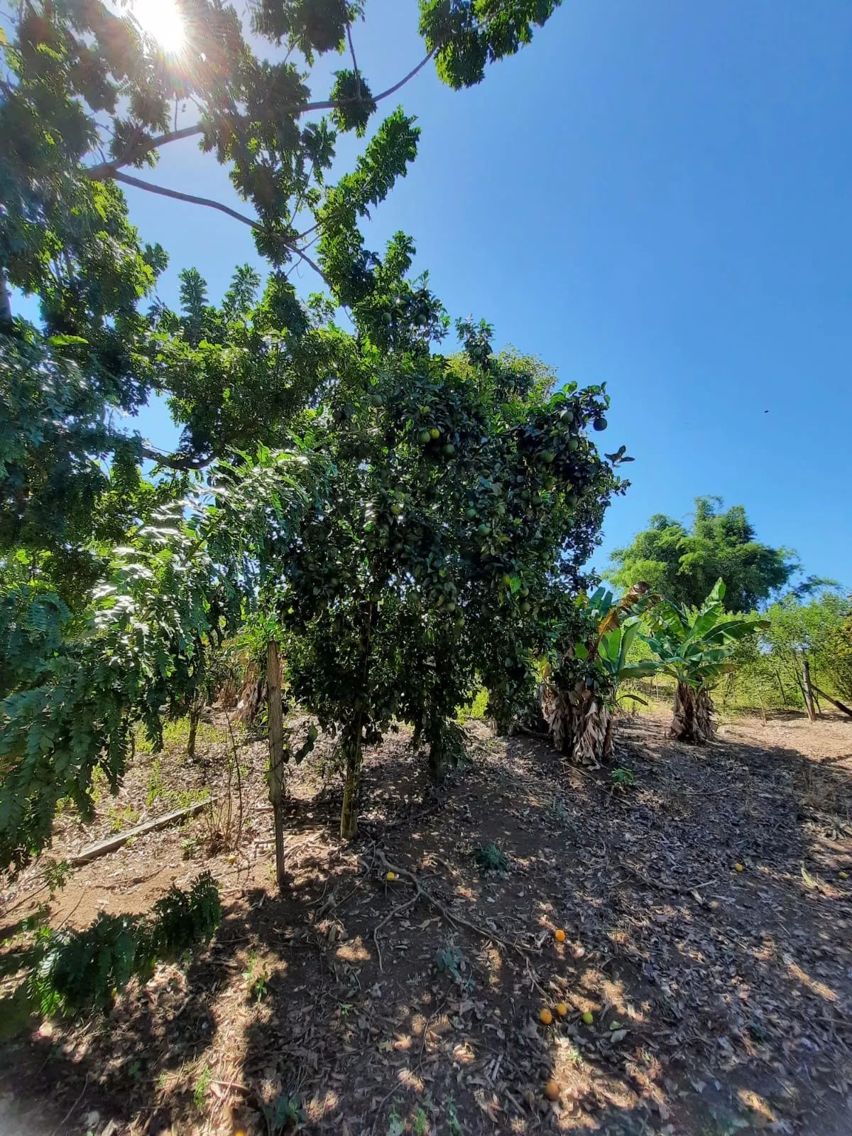 Chácara à venda de 2 ha em Caçapava, SP, Brasil
