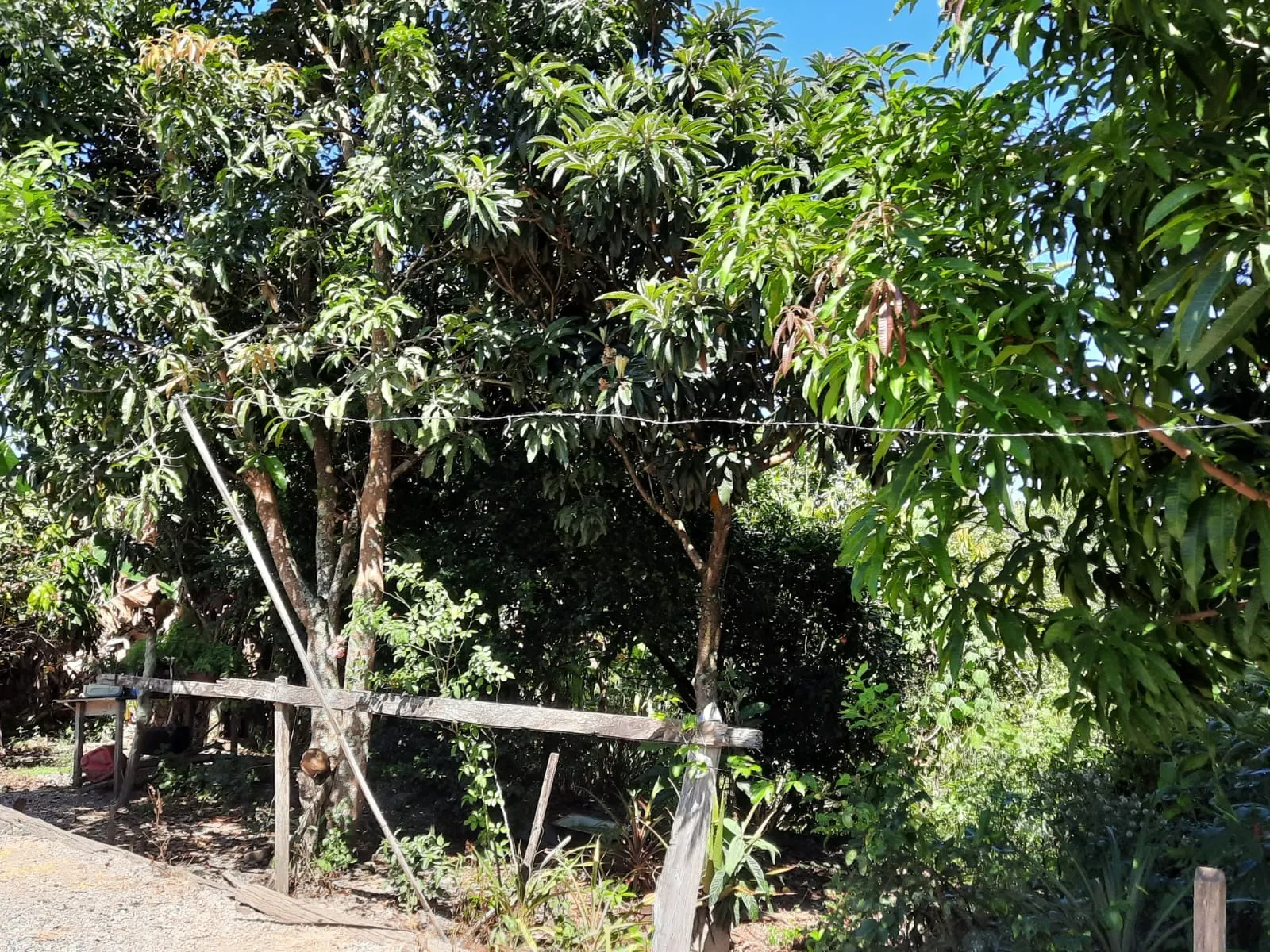Chácara à venda de 2 ha em Caçapava, SP, Brasil