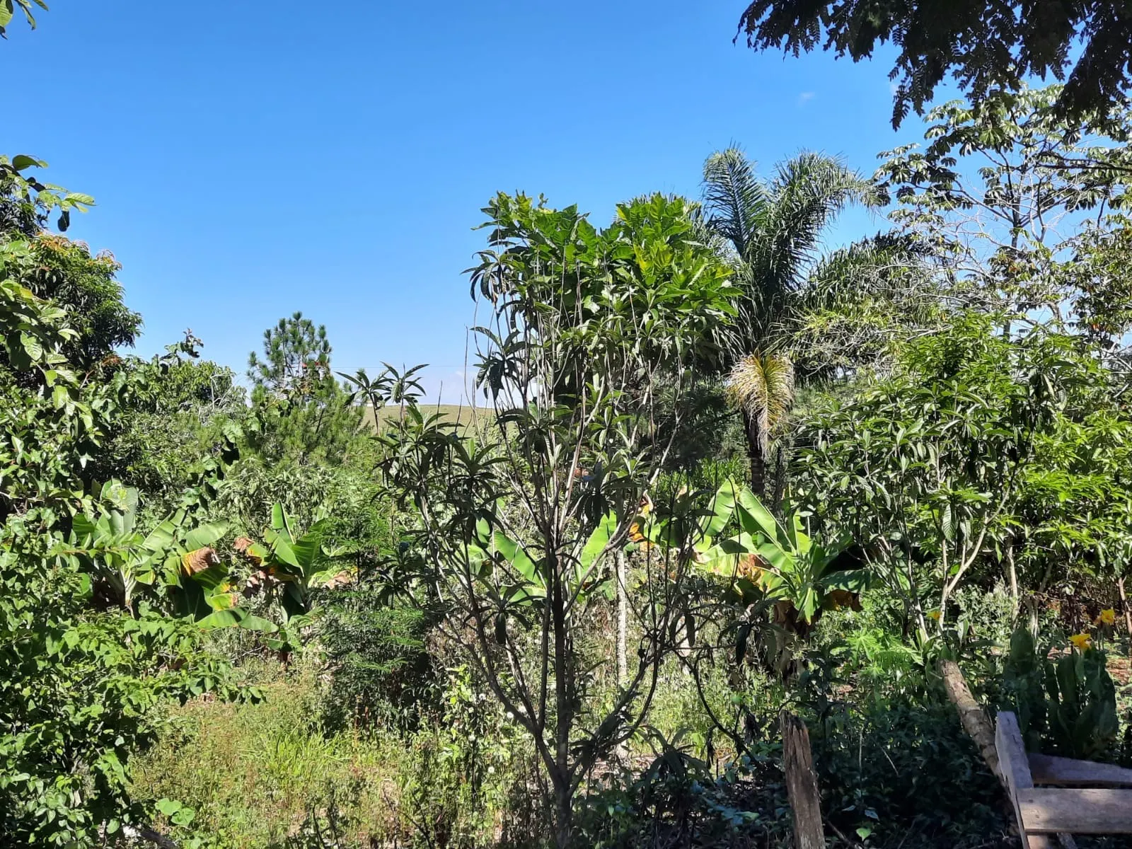 Chácara à venda de 2 ha em Caçapava, SP, Brasil