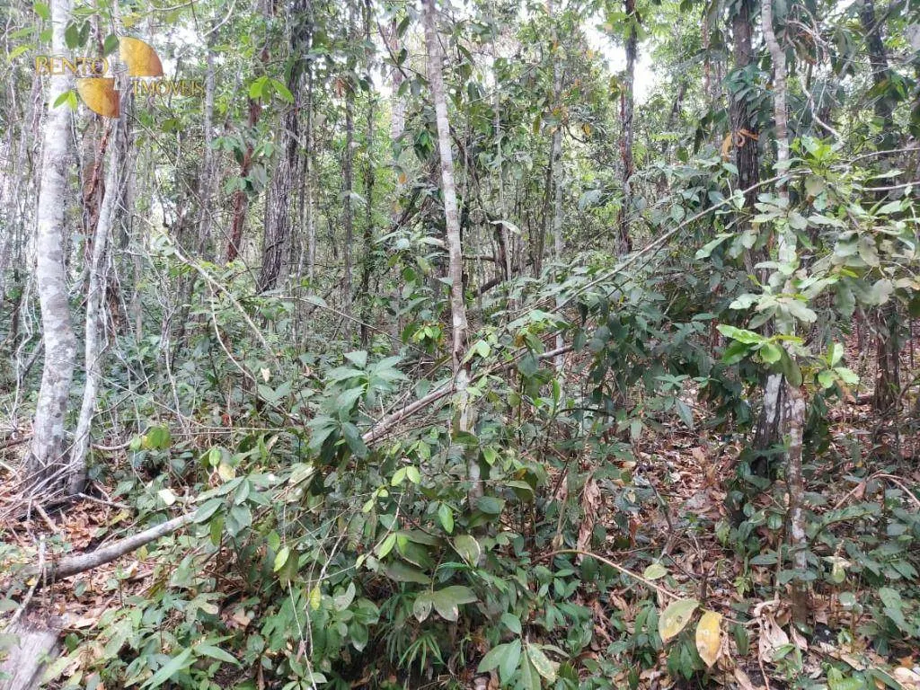 Sítio à venda de 82 ha em Chapada dos Guimarães, MT, Brasil