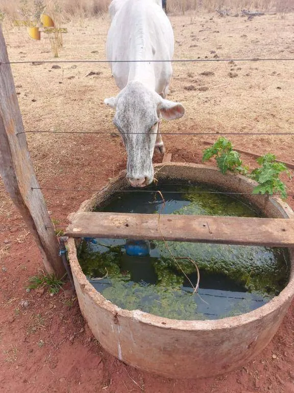 Sítio à venda de 82 ha em Chapada dos Guimarães, MT, Brasil