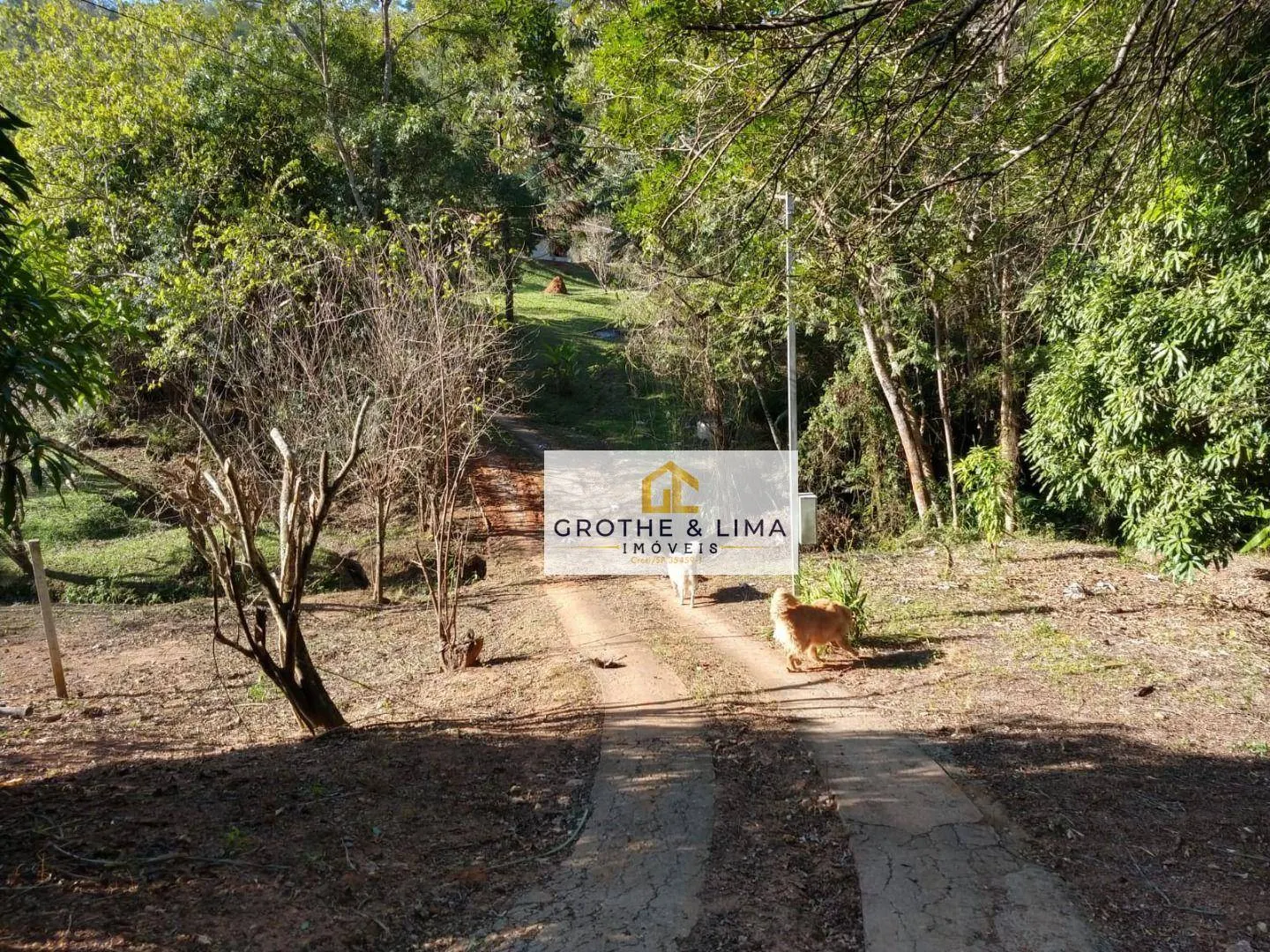 Small farm for sale of 6 acres in Redenção da Serra, SP, Brazil