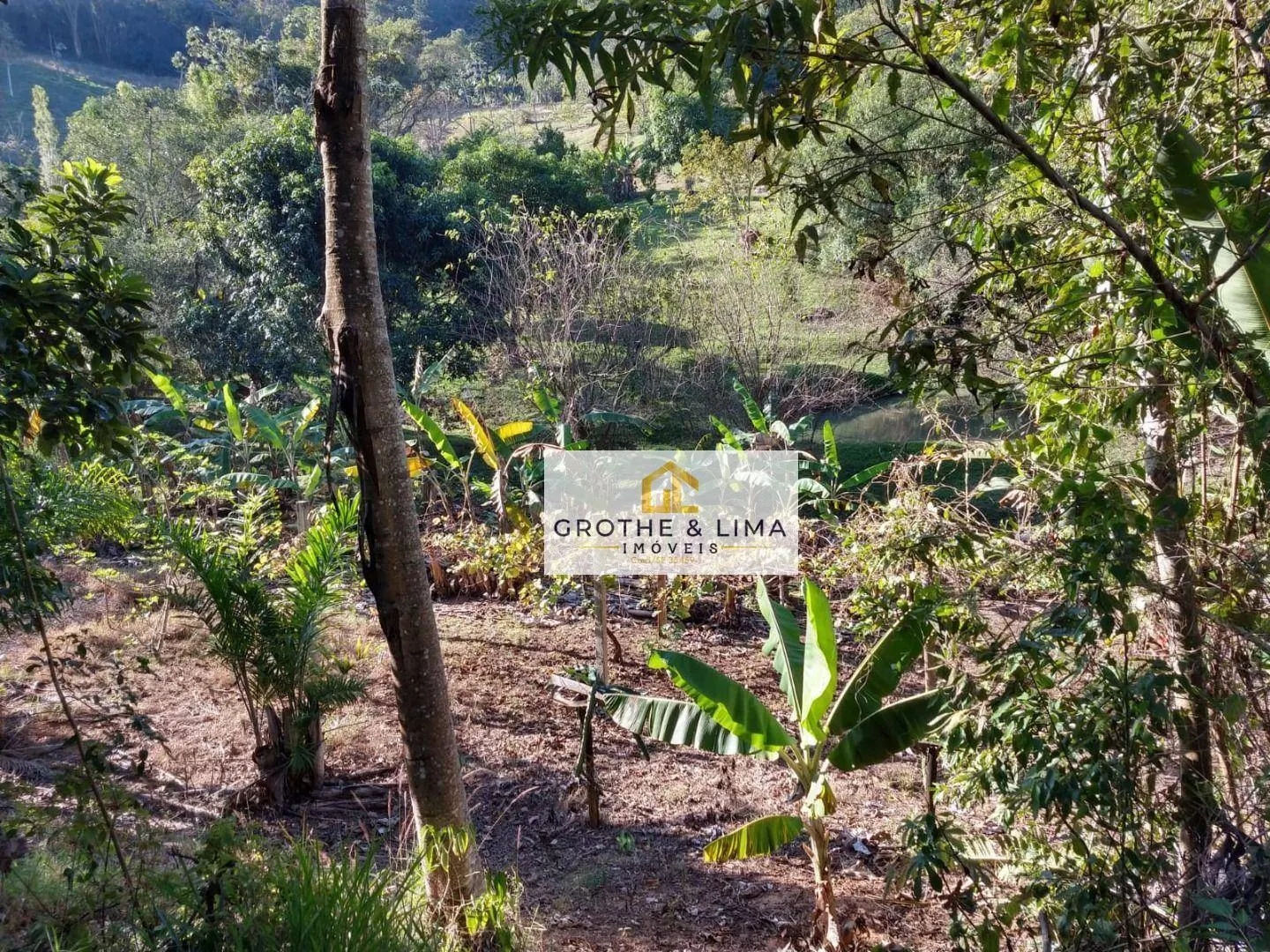 Small farm for sale of 6 acres in Redenção da Serra, SP, Brazil