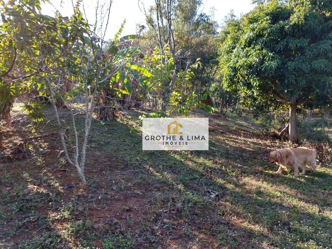 Small farm for sale of 6 acres in Redenção da Serra, SP, Brazil