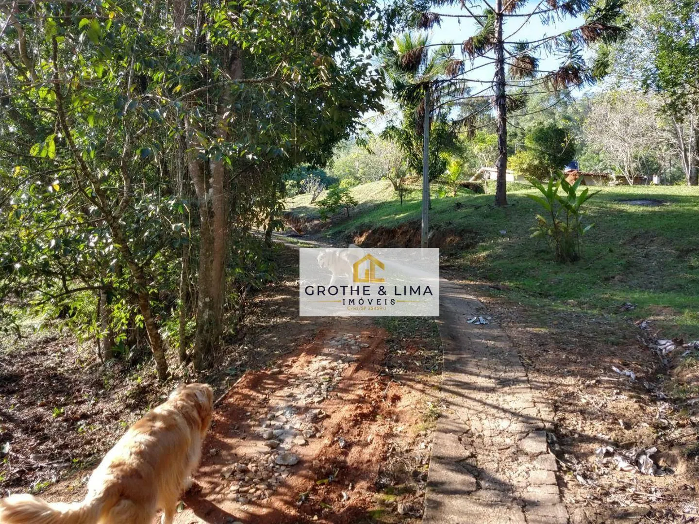 Small farm for sale of 6 acres in Redenção da Serra, SP, Brazil
