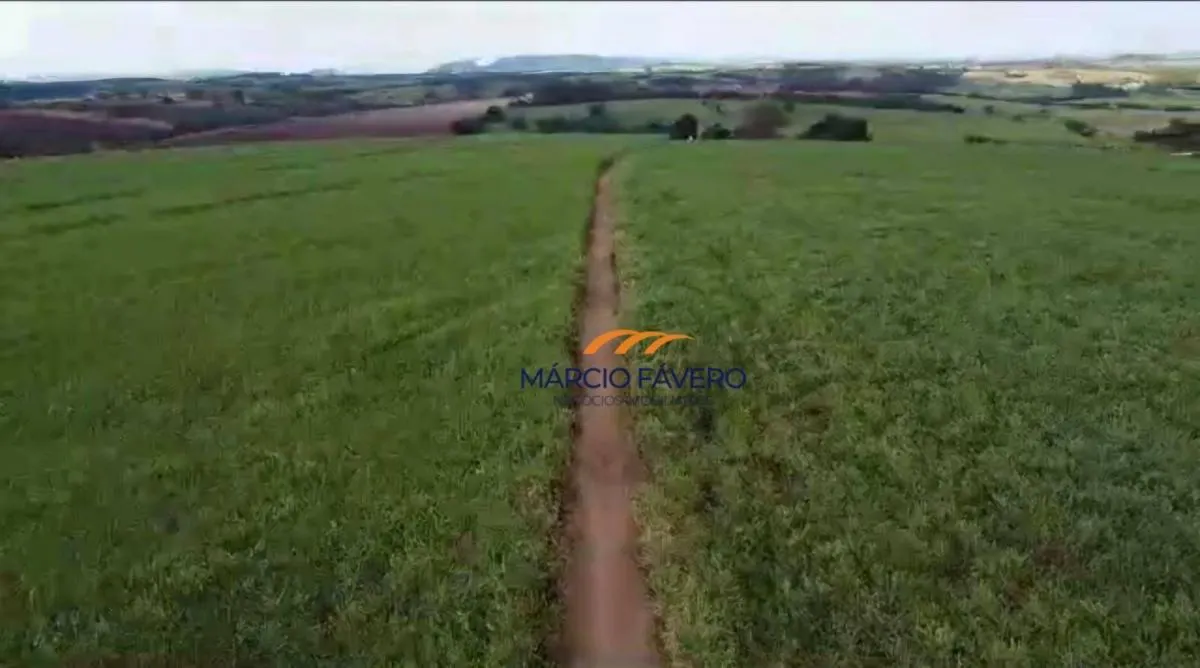 Fazenda à venda de 215 ha em Cajuru, SP, Brasil