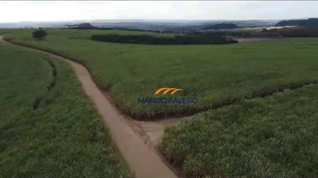 Fazenda à venda de 215 ha em Cajuru, SP, Brasil