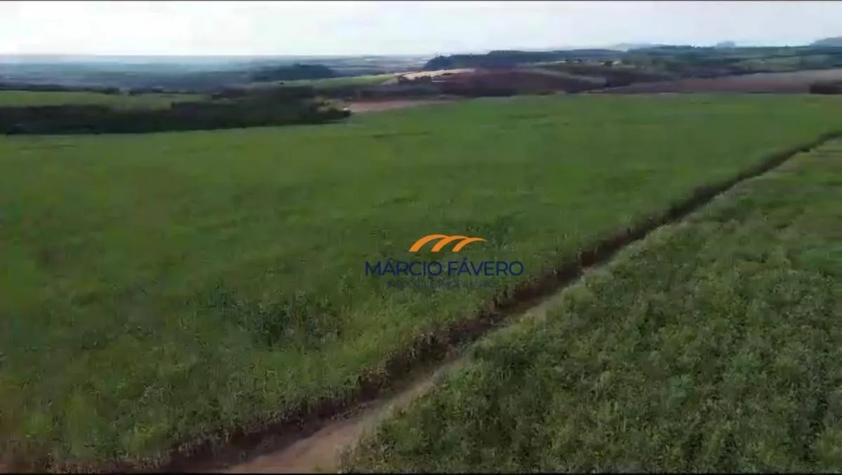 Fazenda à venda de 215 ha em Cajuru, SP, Brasil