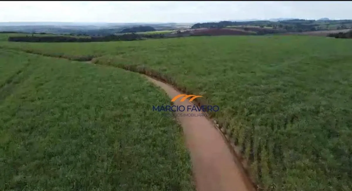 Fazenda à venda de 215 ha em Cajuru, SP, Brasil