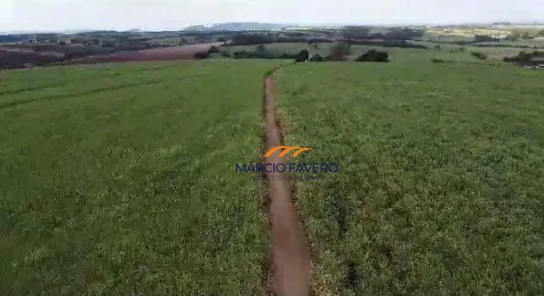 Fazenda à venda de 215 ha em Cajuru, SP, Brasil