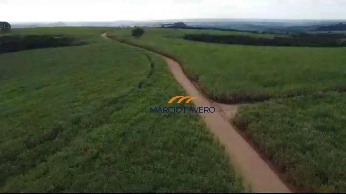 Fazenda à venda de 215 ha em Cajuru, SP, Brasil