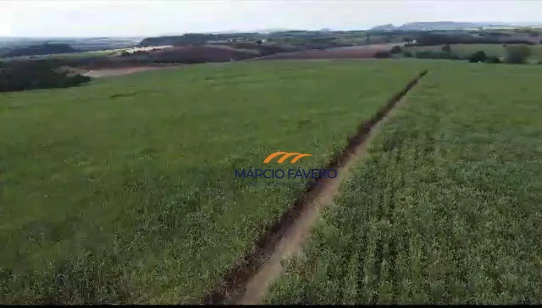 Fazenda à venda de 215 ha em Cajuru, SP, Brasil