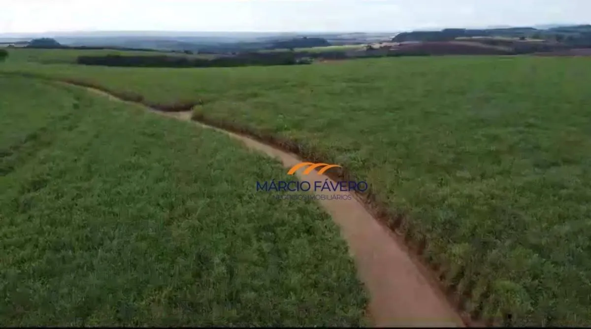 Fazenda à venda de 215 ha em Cajuru, SP, Brasil