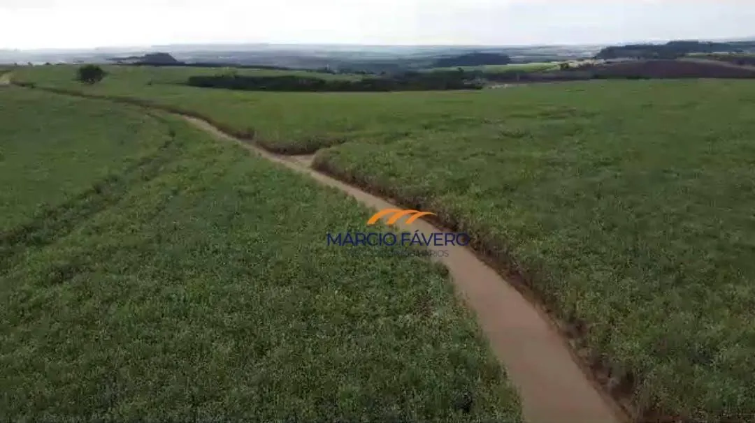 Fazenda à venda de 215 ha em Cajuru, SP, Brasil