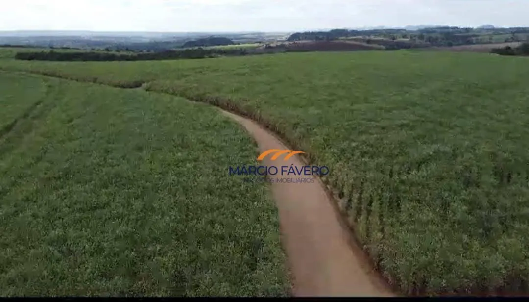 Fazenda à venda de 215 ha em Cajuru, SP, Brasil