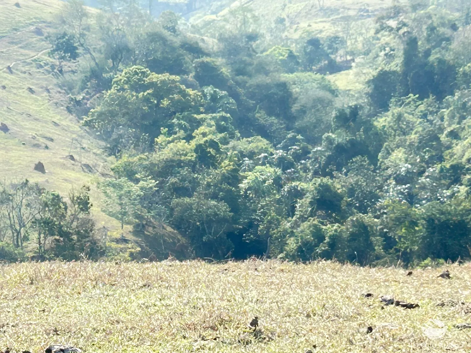 Sítio à venda de 12 ha em São José dos Campos, SP, Brasil