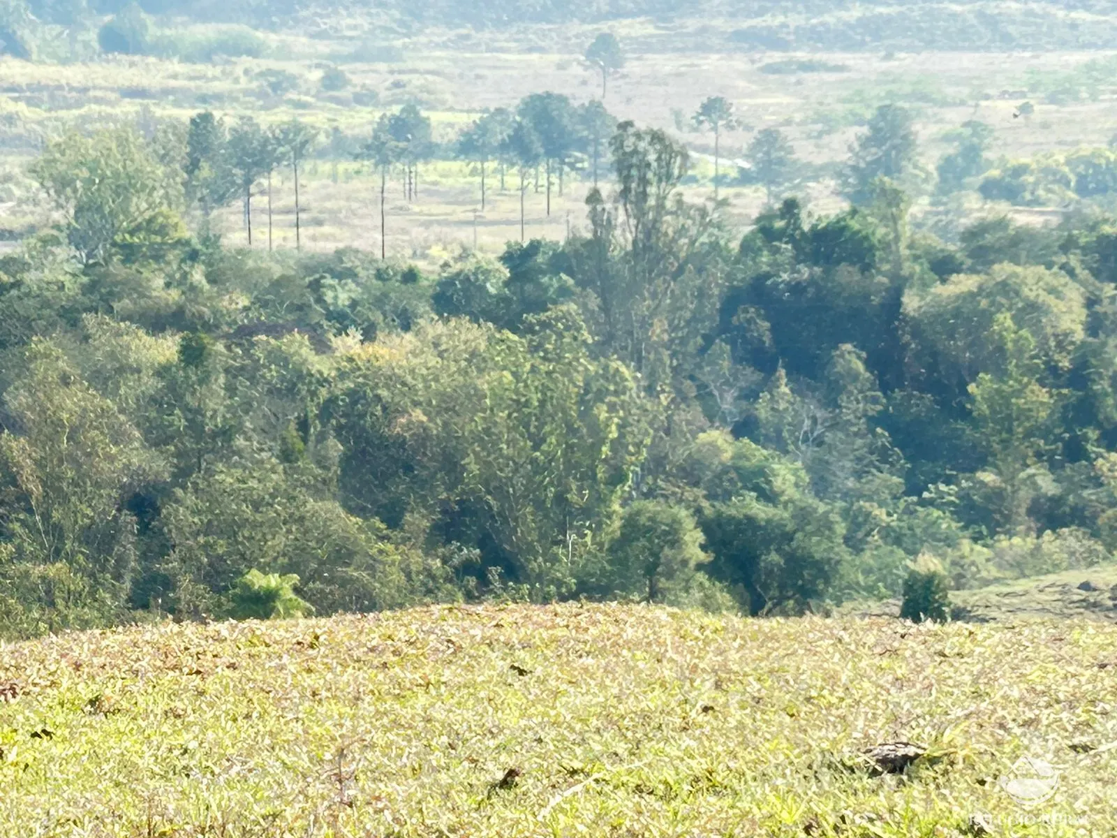 Sítio à venda de 12 ha em São José dos Campos, SP, Brasil