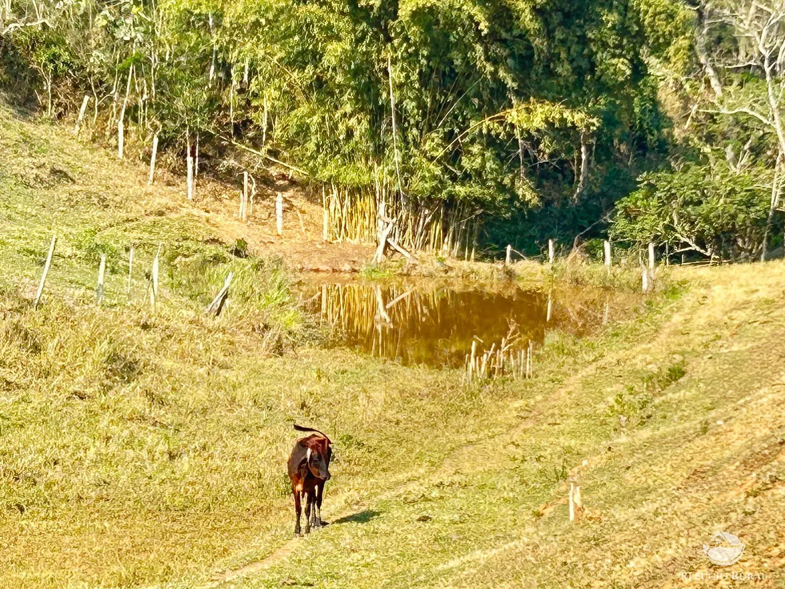 Sítio à venda de 12 ha em São José dos Campos, SP, Brasil