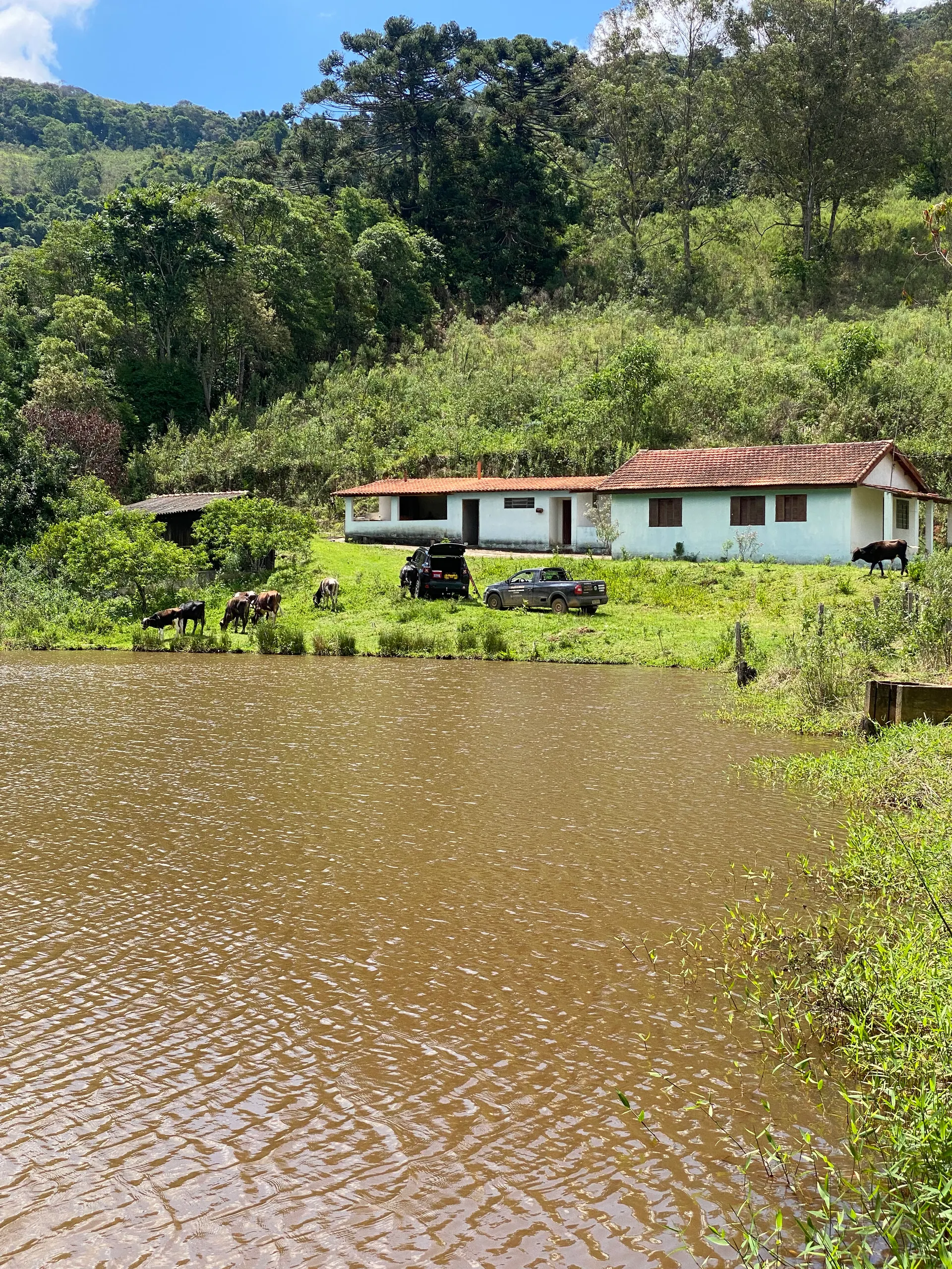 Fazenda à venda de 159 ha em Munhoz, MG, Brasil