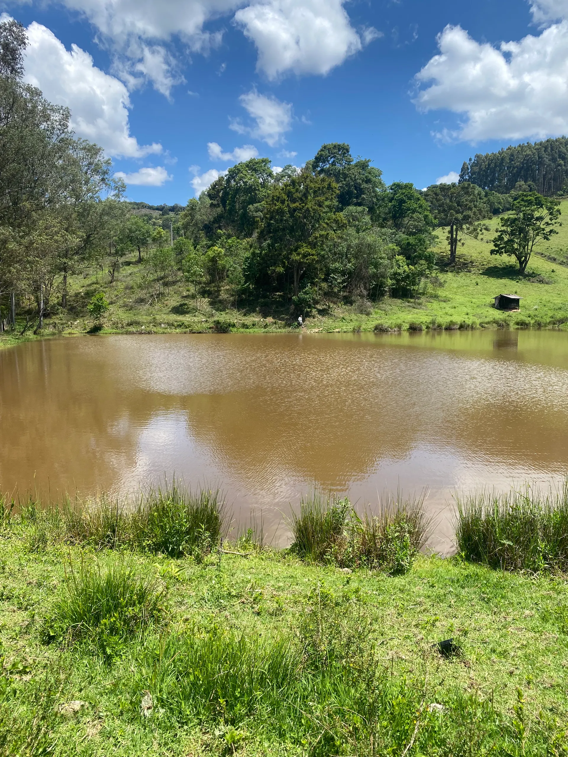 Fazenda à venda de 159 ha em Munhoz, MG, Brasil