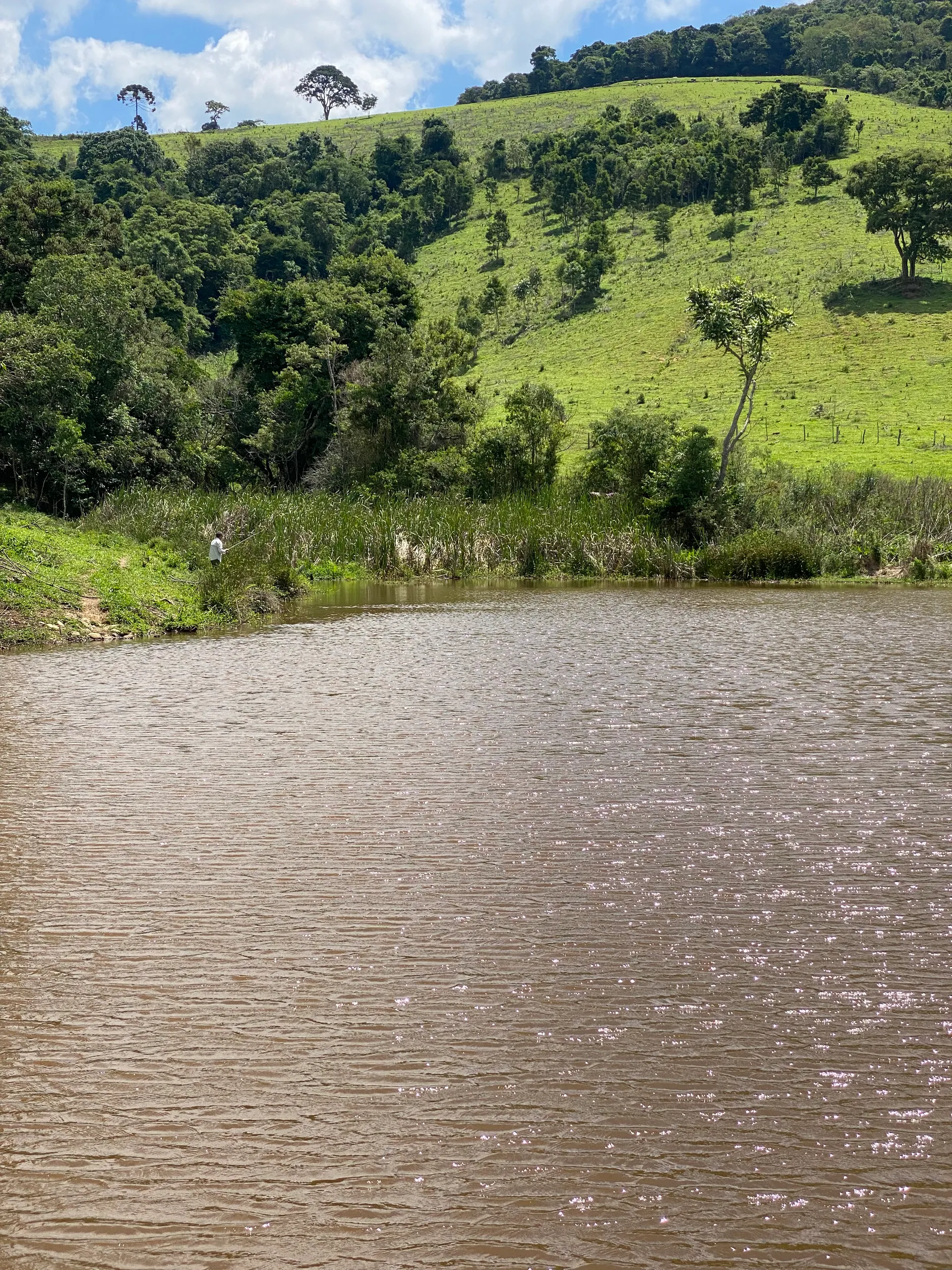 Fazenda à venda de 159 ha em Munhoz, MG, Brasil