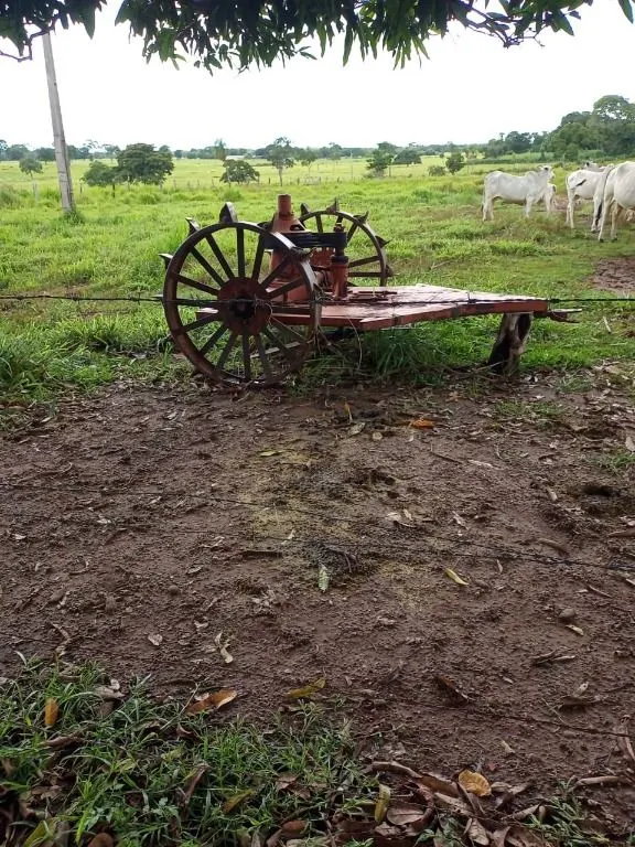 Farm for sale of 247 acres in Poconé, MT, Brazil