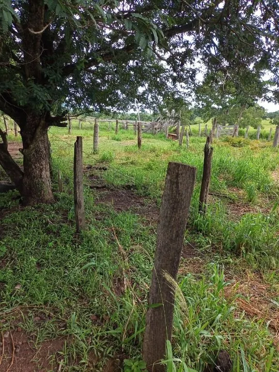 Farm for sale of 247 acres in Poconé, MT, Brazil